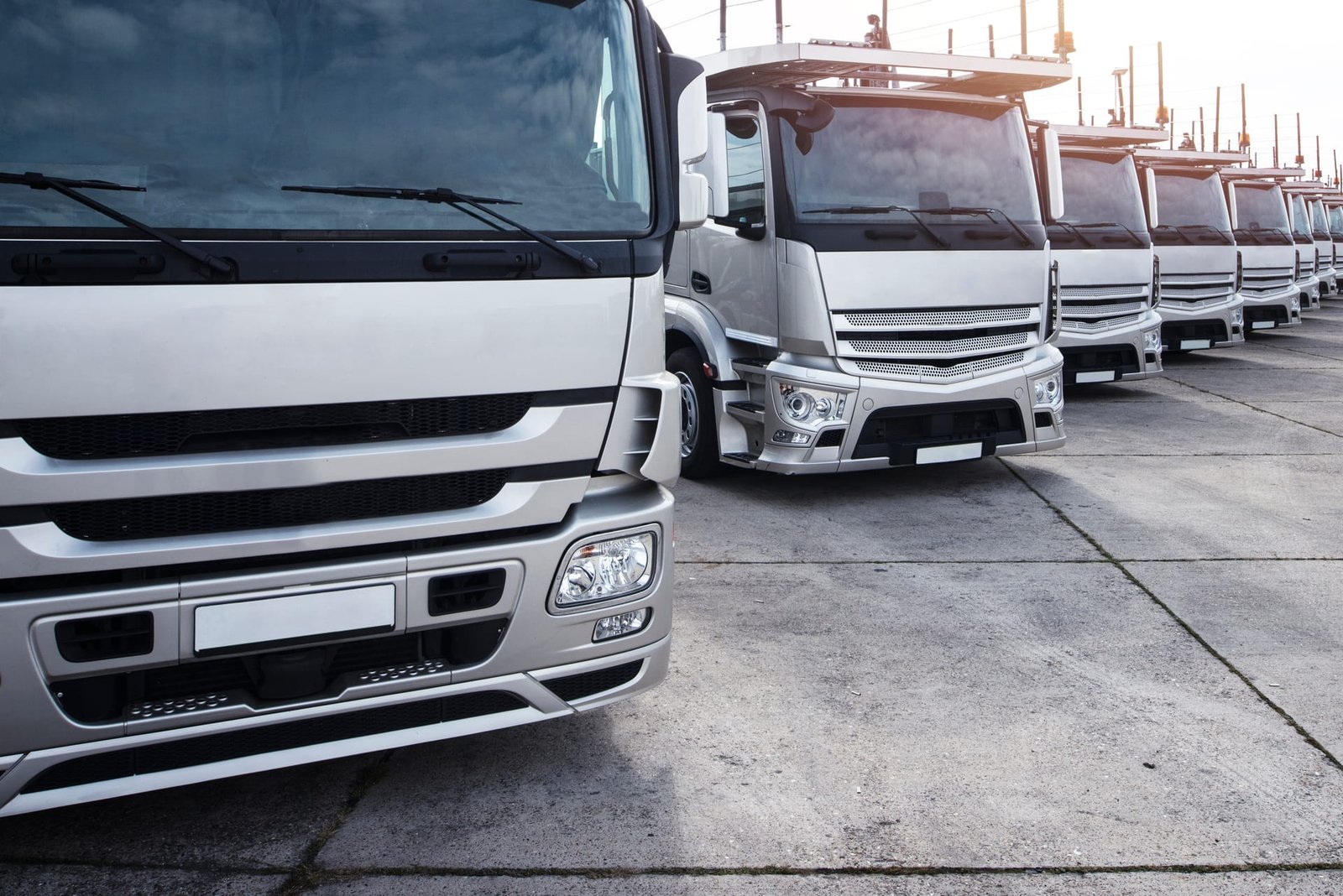 Transit Services